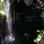 IMG-20250623-WA0054